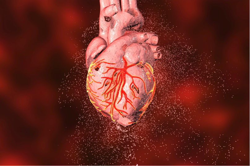 Kelainan Jantung Vs. Penyakit Jantung: Perbedaan Penting yang Harus Anda Ketahui